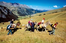 A DOS D'ANE EN QUEYRAS-FAMILLES