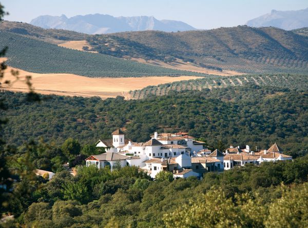 Andalousie chic et champêtre à La Bobadilla