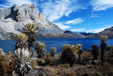 ANDES: TREKKING DU COCUY