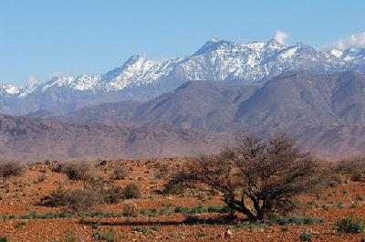 ASCENSION DU TOUBKAL