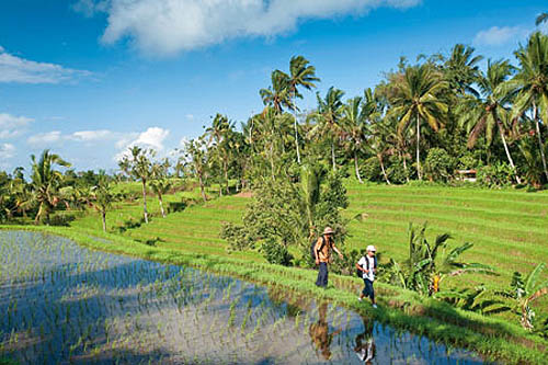 Bali en pente douce, rizière, mer, et volcans