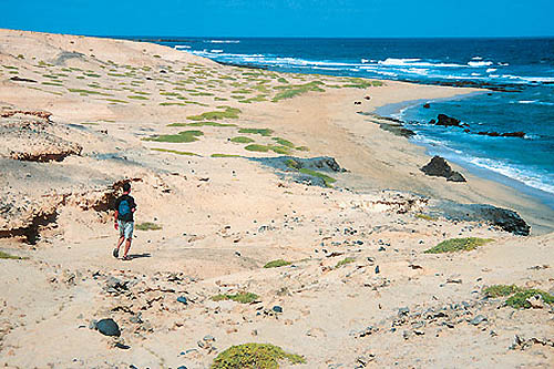 Boa Vista, un désert sur l'océan