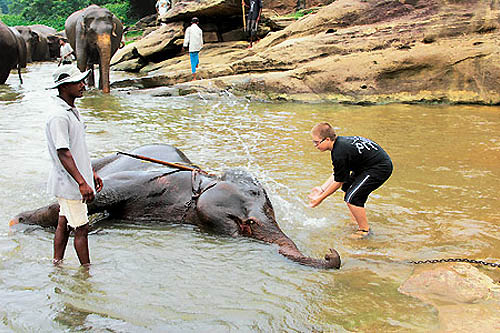 Bouddhas et éléphants du Sri Lanka