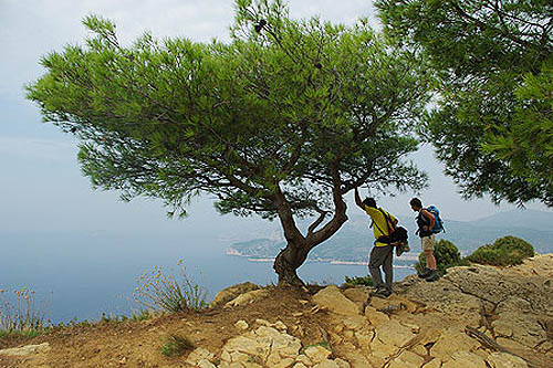 Calanques, de Marseille à Cassis