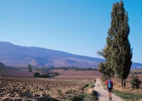 Chemins de St Jacques : Logroño - Burgos