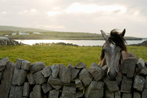 Connemara, nous voilà !