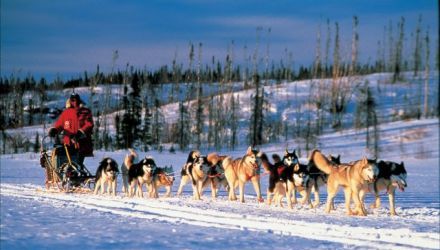 Coureurs des bois des Laurentides