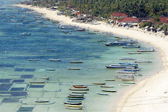 Croisière plongée de Bali à Komodo