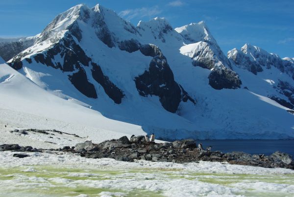 Croisière pour la péninsule Antarctique