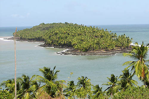 De la forêt amazonienne à Kourou