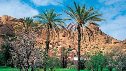 De la vallée des Ammeln à Tafraoute, au pays des amandiers