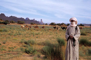 De Tamanrasset à Djanet (piste nord)