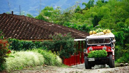 Des Andes aux Caraïbes : Merveilles de la Colombie