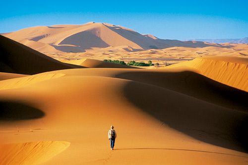 Des dunes de Merzouga à la palmeraie de Skoura