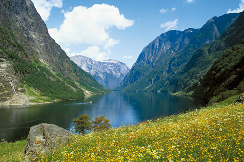 Des fjords aux îles Lofoten