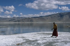 DU LAC TSOKAR AU TSOMORIRI