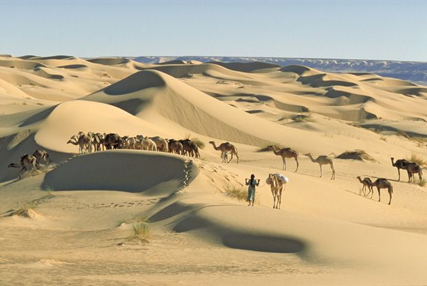 Dunes et oasis de Chinguetti