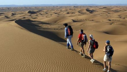 Dunes et oasis de l'oued Drâa