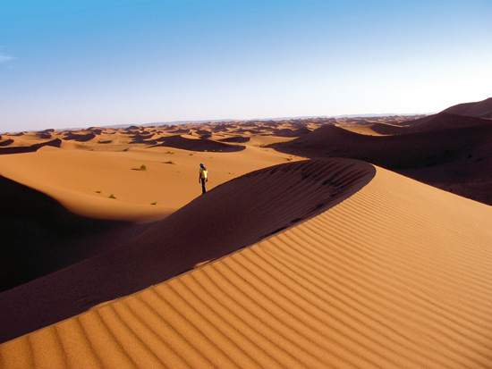 Dunes et oasis du Drâa