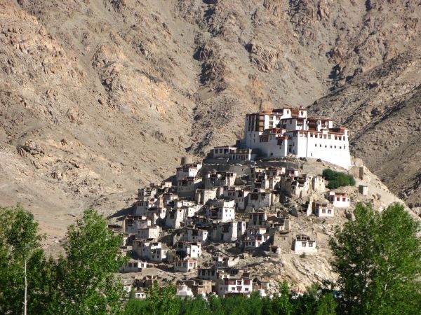 Edens himalayens : balade au Ladakh et dans la vallée de la Nubra