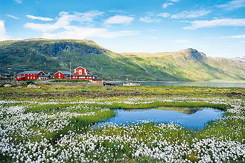 Entre montagnes sauvages et fjords majestueux