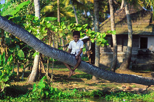 Epices et cocotiers, trésors du Kerala