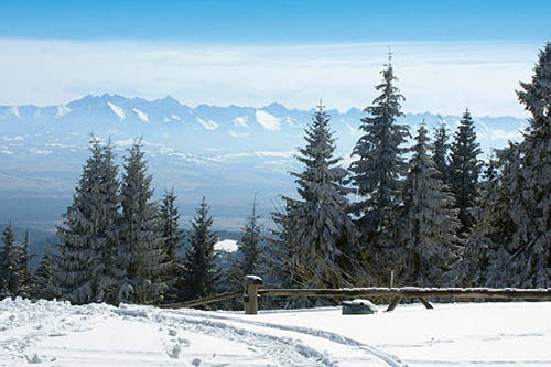 Evasion polonaise en traîneaux et raquette