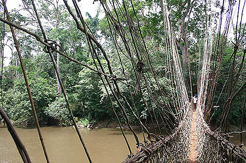 Exploration en Guinée Forestière