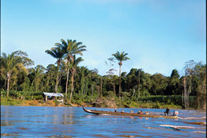 Immersion en Amazonie française