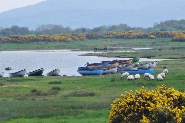 Irlande - Week-end pêche au brochet 