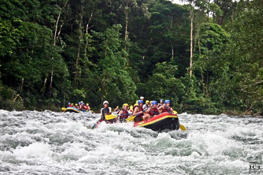 Jungle, rafting et plage au Costa Rica