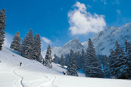 Kiental, cœur de l'Oberland bernois