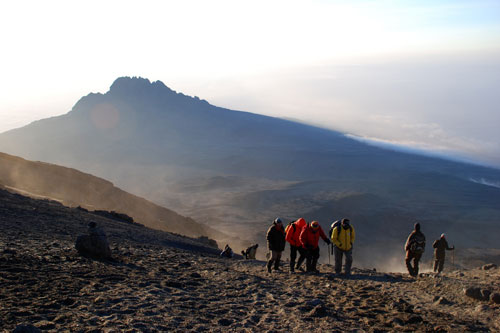 Kilimandjaro, Ngorongoro et lac Natron