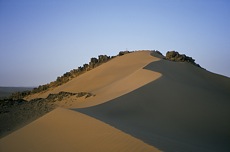 LA CARAVANE DU DESERT