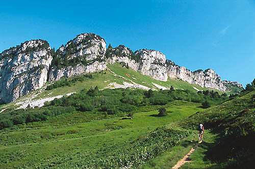 La Chartreuse insolite