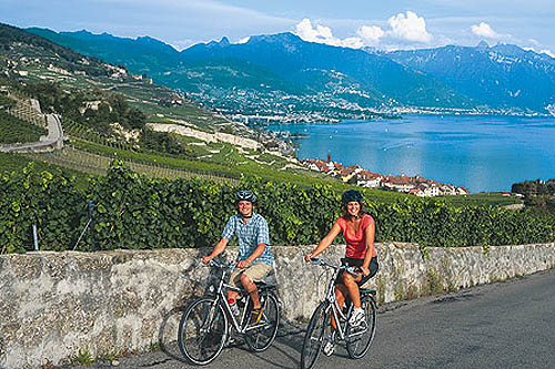 La route du Rhône