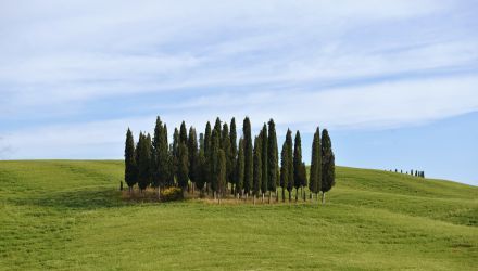 La Toscane en Liberté