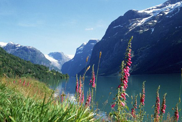 Légendes et trolls au pays des fjords