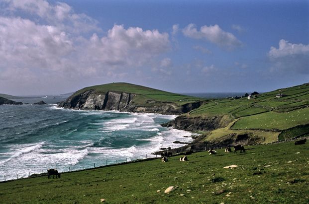 Landes du Connemara, l'île de Clare et îles d'Aran