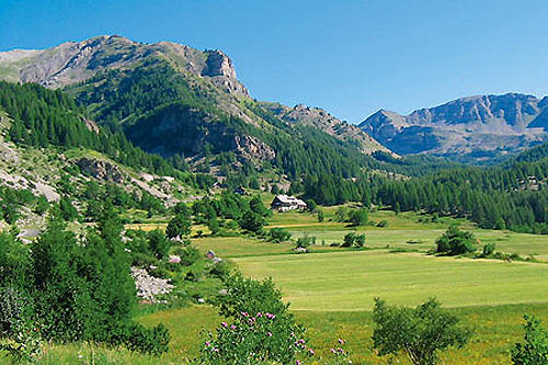 Le Mercantour avec un âne