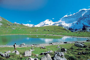 Le parc de la Vanoise 