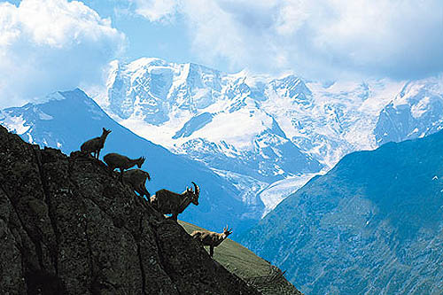 L'Engadine, la perle des Alpes