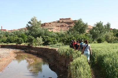 Des gorges du M'Goun aux jardins de l'Atlas