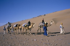 LES PETITS CARAVANIERS