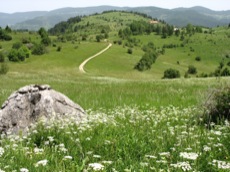 LES PISTES OUBLIEES DES RHODOPES