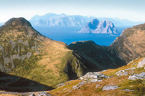 Lofoten, orques et aurores boréales