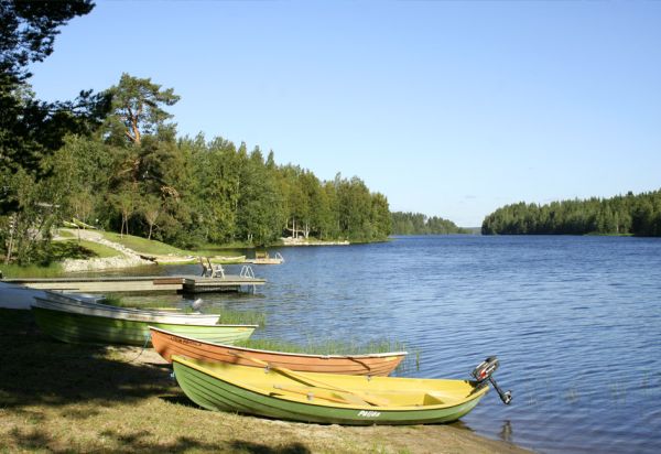 Ma petite maison dans les bois - Un cottage au bord de l'eau