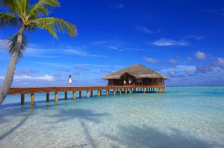 Medhufushi :lagon émeraude pour robinsons  