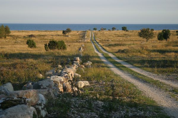 Mer Baltique - Escapade à Gotland 