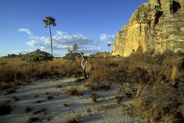 Mosaïque malgache